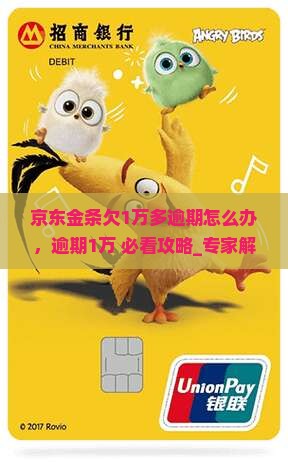 京东金条欠1万多逾期怎么办