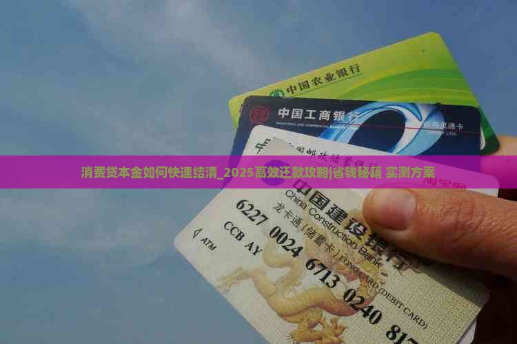 消费贷本金如何快速结清