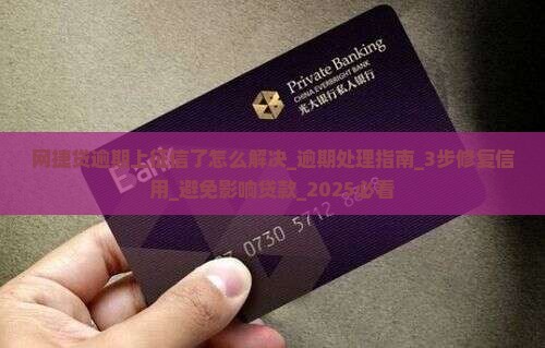 网捷贷逾期上征信了怎么解决