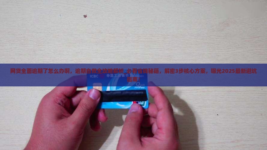 网贷全面逾期了怎么办啊