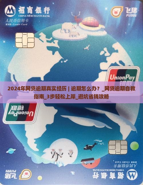 2024年网贷逾期真实经历