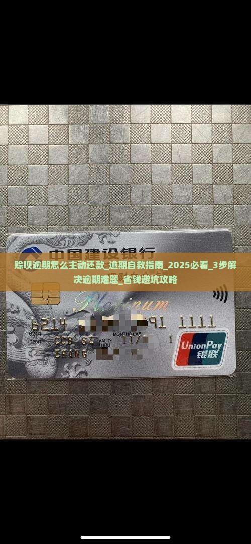 赊呗逾期怎么主动还款