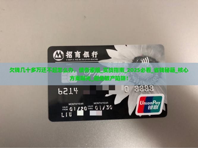 欠钱几十多万还不起怎么办