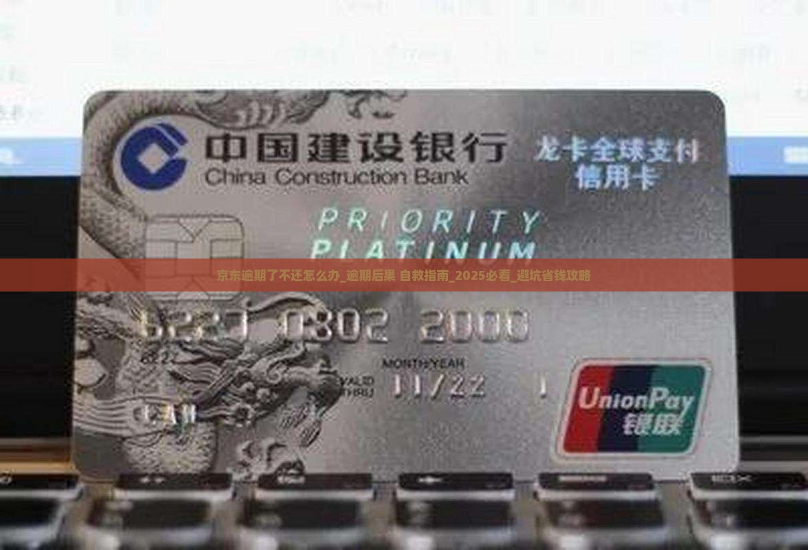 京东白条逾期了不还怎么办