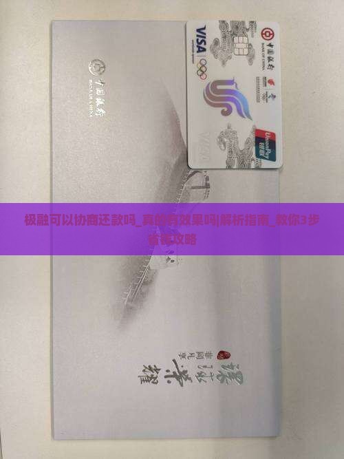 极融可以协商还款吗真的有效果吗