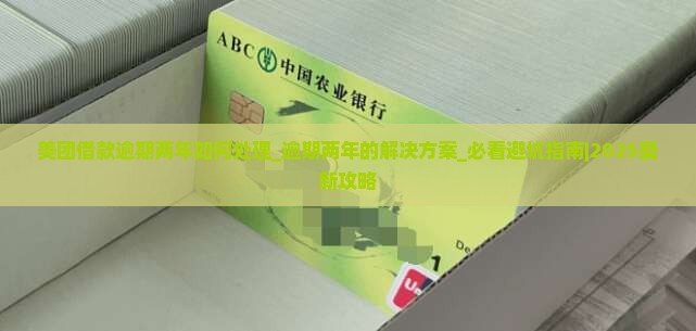 美团借款逾期两年如何处理