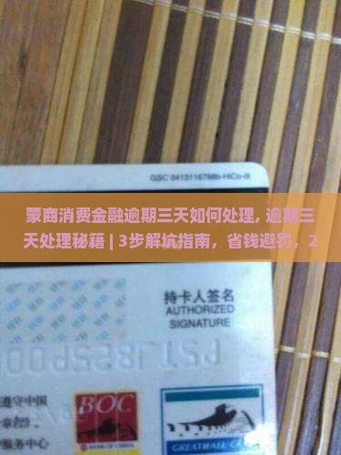蒙商消费金融逾期三天如何处理