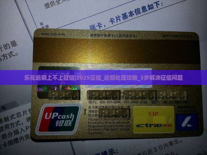 乐花逾期上不上征信怎么办