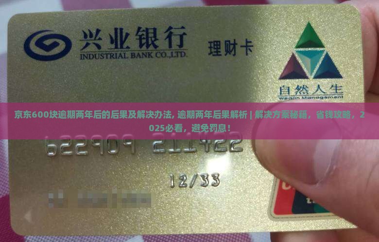 京东白条600块逾期两年后的后果及解决办法
