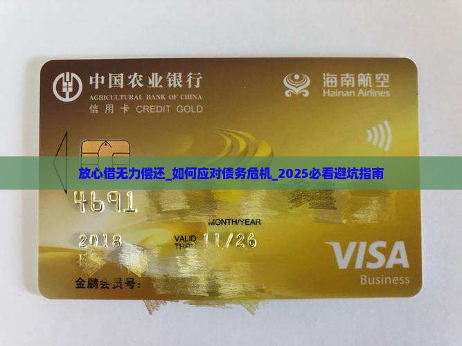 放心借无力偿还