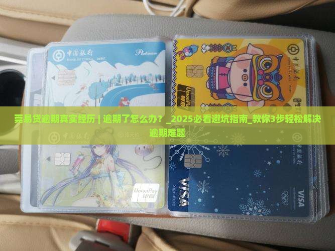 莞易贷逾期真实经历