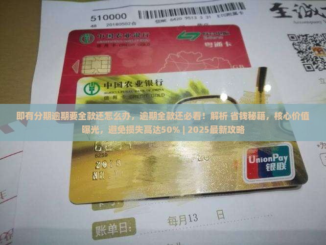 即有分期逾期要全款还怎么办