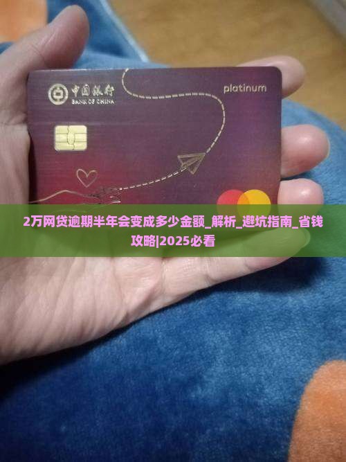 2万网贷逾期半年会变成多少金额
