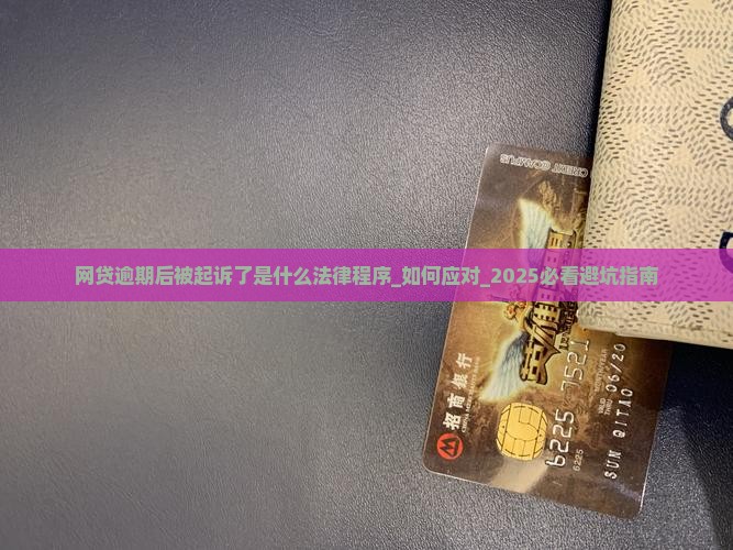 网贷逾期后被起诉了是什么法律程序