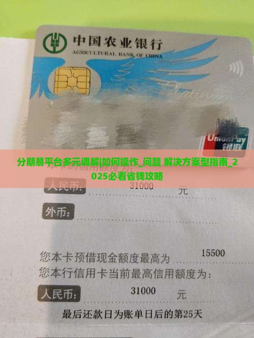 分期易平台多元调解怎么操作