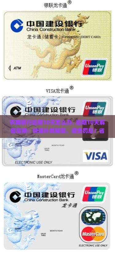 农商银行逾期10天怎么办