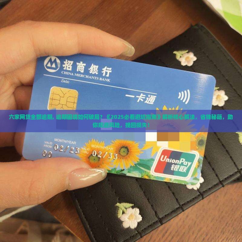 六家网贷全部逾期