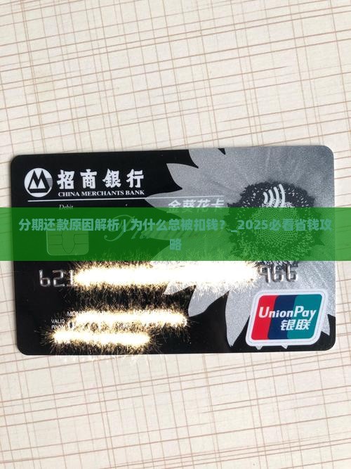 白条分期还款原因解析