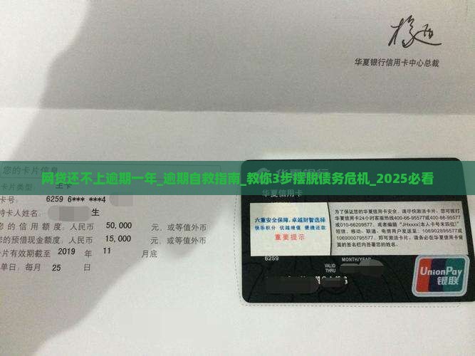 网贷还不上逾期一年