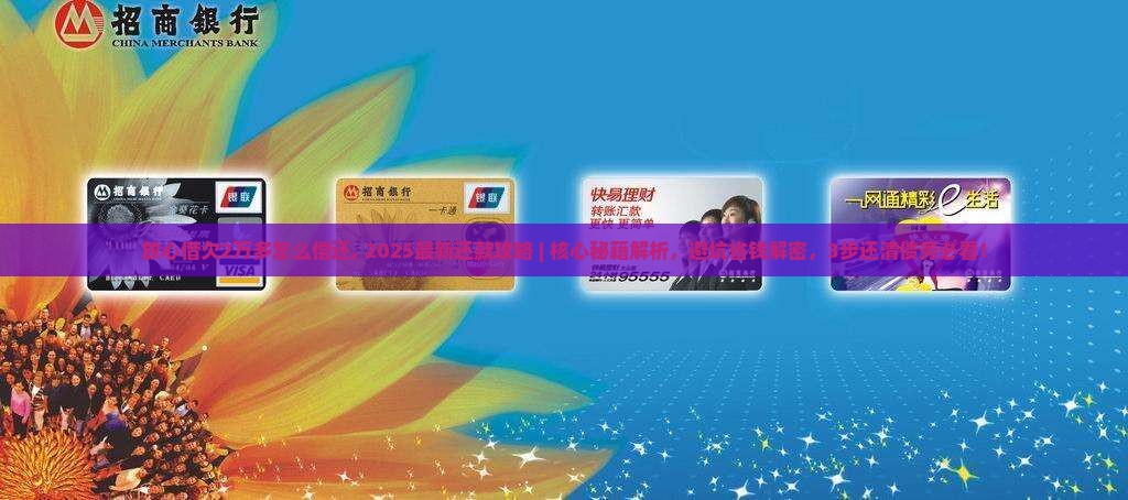 放心借欠2万多怎么偿还