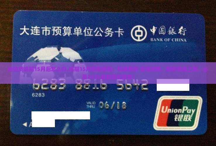 拍拍贷逾期15月后怎么办