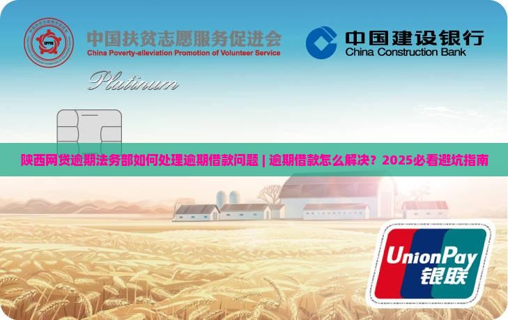 陕西网贷逾期法务部如何处理逾期借款问题