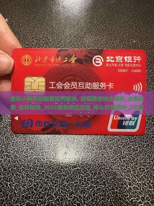 重庆小雨点逾期费如何缴纳