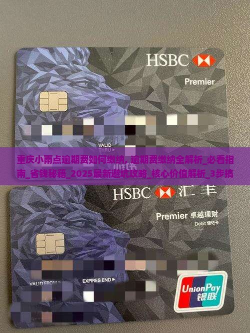 重庆小雨点逾期费如何缴纳