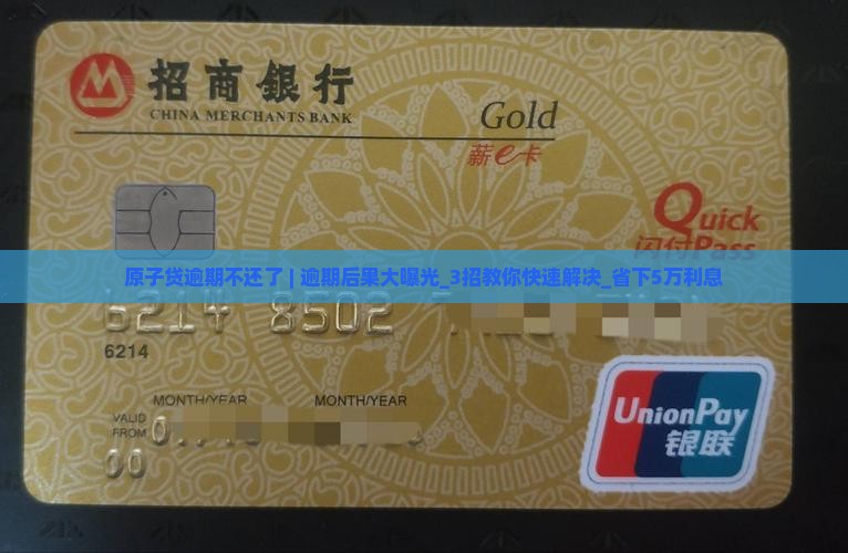 原子贷逾期不还了