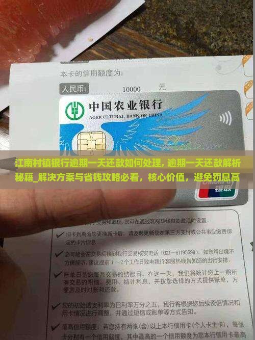 江南村镇银行逾期一天还款如何处理