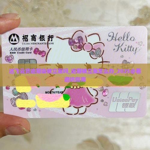 达飞云贷逾期会被立案吗
