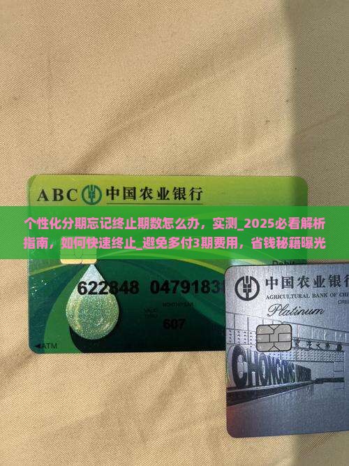 个性化分期忘记终止期数怎么办