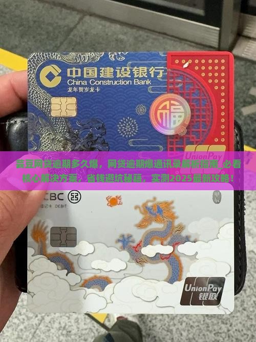 芸豆网贷逾期多久爆
