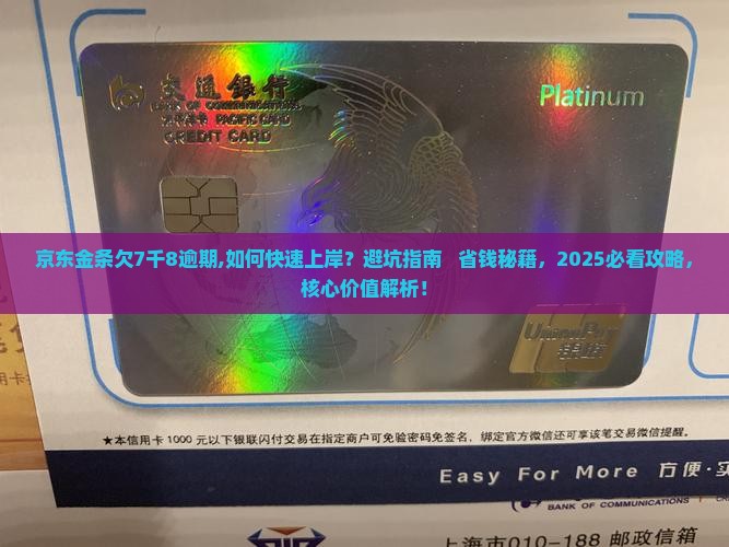 京东金条欠7千8逾期