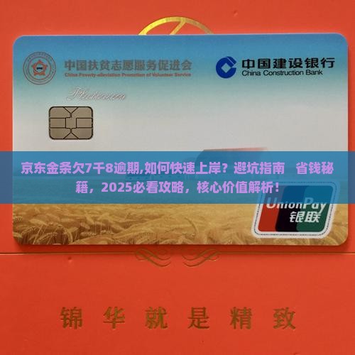 京东金条欠7千8逾期