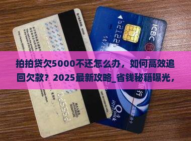 拍拍贷欠5000不还怎么办