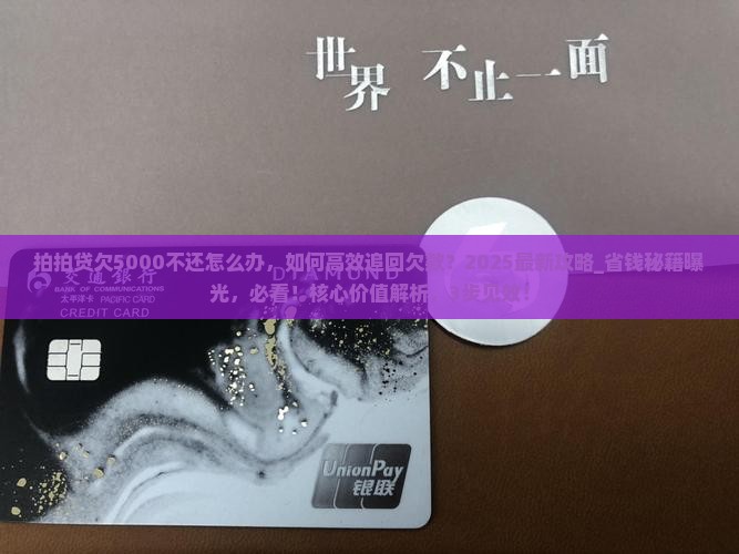 拍拍贷欠5000不还怎么办
