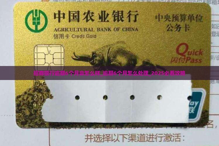 招商银行逾期6个月会怎么样