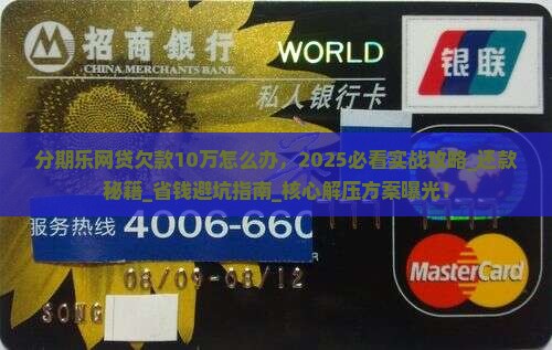 分期乐网贷欠款10万怎么办