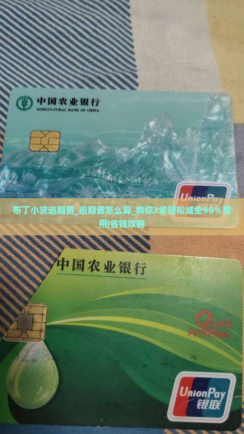 布丁小贷逾期费