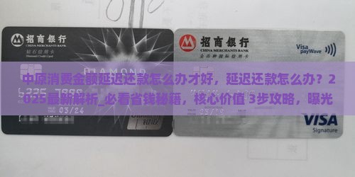 中原消费金额延迟还款怎么办才好 中原消费金额延迟还款怎么办才好