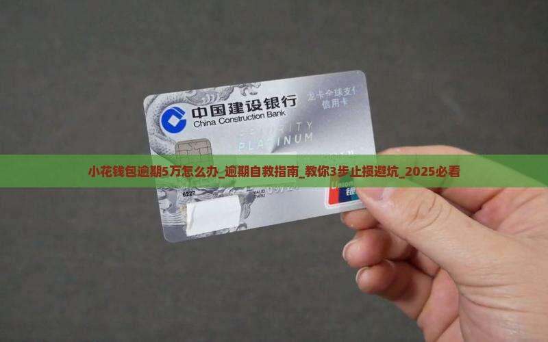 小花钱包逾期5万怎么办