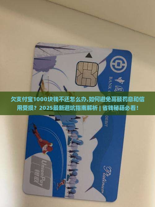 欠支付宝1000块钱不还怎么办