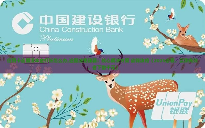 信用卡逾期没本金打折怎么办