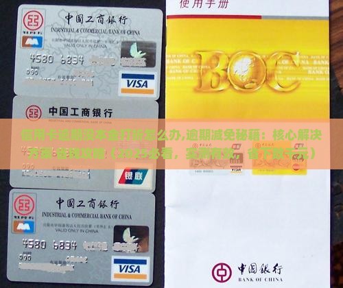 信用卡逾期没本金打折怎么办