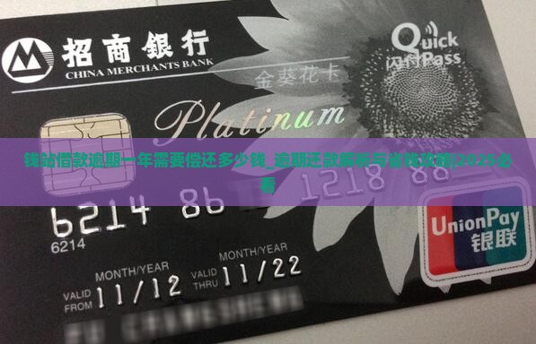 钱站借款逾期一年需要偿还多少钱