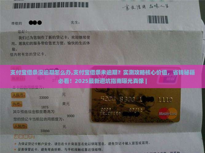 支付宝借条没逾期怎么办