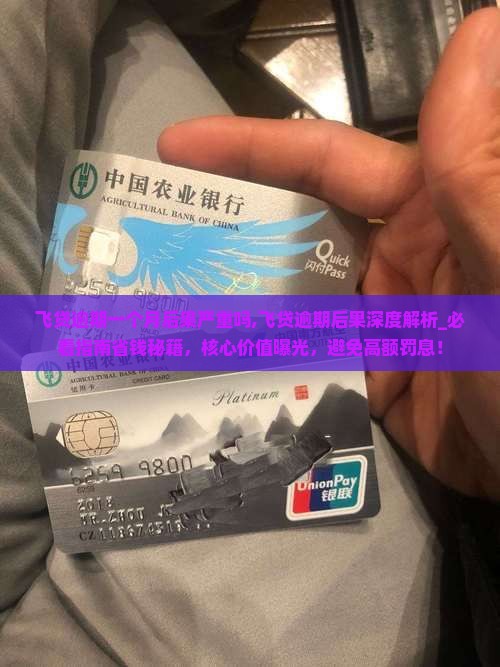 飞贷逾期一个月后果严重吗