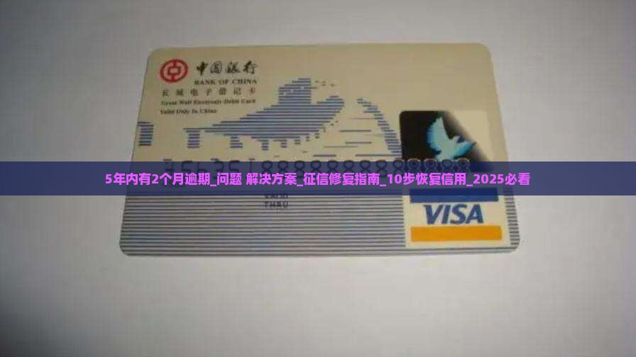 5年内有2个月逾期怎么办