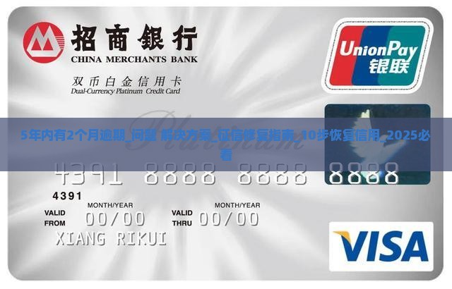5年内有2个月逾期怎么办